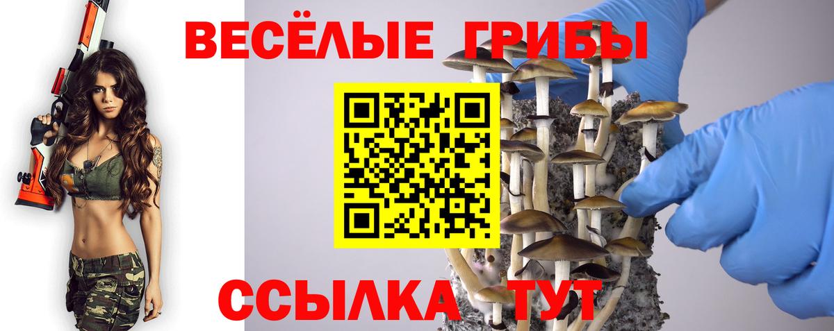где купить   Псилоцибиновые грибы GOLDEN TEACHER  Мурманск  Вход с VPN  Галлюциногенные грибы Cubensis 